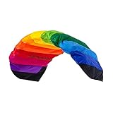 Wolkenstürmer® Paraflex Basic 2-Leiner Lenkmatte 1.2 Rainbow - Kite Drachen mit...