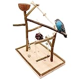 Vogelgaleria Luxus Vogelspielplatz aus Natur Holz mit Abnehmbarer Futterschale | Ideales...