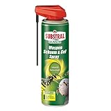 Substral Celaflor Wespen Schaum und Gel Spray, gegen Wespe und Wespennest, schnelle...