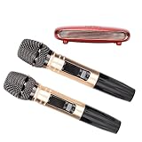 HEEPDD Mikrofon-Kit mit Griff, Koaxialeingang, Kabelloses -Mikrofon-Kit, USB-Soundkarte,...