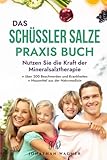 Das große Schüssler Salze Praxis Buch: Nutzen Sie die Kraft der Schüßler Salze und...