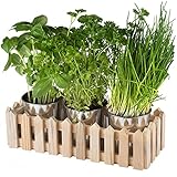 Chefarone Kräutertopf Küche Set Fensterbank - Kräutergarten Indoor praktisches 3er Set...