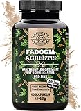 Fadogia Agrestis - 1000mg je Tagesdosis - WICHTIG: 10:1 Extrakt (= 5.000mg Fadogia...