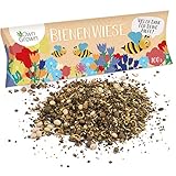 Bienenwiese Blumenmischung: 100g Premium Bienen Saatgut für bunte Bienenweide, Bienen und...