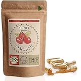 SPINTZ® 420 Stk. Bio Hagebutten Kapseln - vegane Hagebutten Kapseln hochdosiert - 500mg...