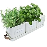 Green Thumbz 3er Set Fensterbank Blumenkasten aus Metall mit Ledergriffen - Idealer...