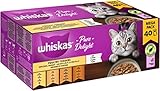 Whiskas 1+ Katzennassfutter Ragout Geflügel Auswahl in Gelee, 40x85g (1 Packung) –...