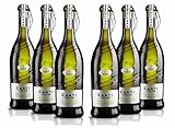 Canti Prosecco D.O.C. Frizzante Schaumwein Wein Trocken 6 Flaschen Prosecco (6 x 0.75 l)