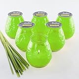 HOFER 6 x Bistro-Licht Citronella grün | Windlicht Outdoor | Hochwertige Citronella Kerze...