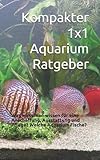 Kompakter 1x1 Aquarium Ratgeber: Was muss man wissen für eine Anschaffung, Ausstattung...