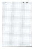 Herlitz 10834141 Flipchartblock 68x99cm, 20 Blatt kariert, 80 g/m², FSC Mix, 5 Stück,...