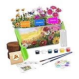 TOYANDONA 1 Set Pflanztopf-Set Innenfarbe Blumen-Set Kunst- Und Bastelset Blumentopf-Sets...