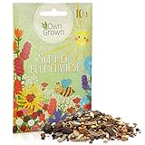 Sommer Blumenwiese Samen: 10g Premium Sommerblumen Samen für bunte Blumenwiese -...