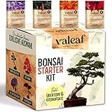 valeaf Bonsai Starter Kit I Bonsai Anzuchtset Geschenk für deinen Bonsai Baum I...