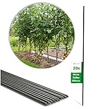 Novatool 20 Pflanzstäbe 90 cm grün 8mm Durchmesser Rankstäbe Rankhilfe Tomatenstäbe...