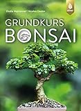 Grundkurs Bonsai