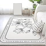 Aoligeinb Teppiche Weicher Innenbereich Teppiche Flauschiger Teppich für Wohnzimmer...