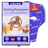 Wolkenfeld Schlupfwespen gegen Lebensmittelmotten – 1 Karte à 4 Lieferungen –...