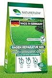 Rasenreparatur Mix Rasen lücken-dicht Rasenpflaster schnellkeimend Rasenreparaturset...