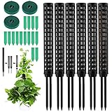 RURIZHONGTIAN Monstera Rankhilfe,Moosstab für Monstera,6pcs Pflanzstab Monstera,Rankhilfe...