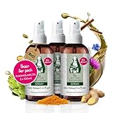 Aura vom Land Bio Premium Bitterstoffe Spray nach Hildegard von Bingen 3x100ml Set –...