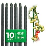 Novatool 10 Stück Pflanzstäbe 90cm grün 11mm Metallrohr kunststoffummantelt Rankstäbe...