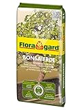 Floragard Bonsaierde 5 L • Spezialerde für anspruchsvolle Bonsais • mit Tongranulat,...