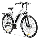 VecoCraft Elektrofahrrad E Bike Athena, Trekking Pedelec für Damen Herren, 28 Zoll Urban...