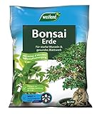 Westland Bonsai Erde, 4 l – Erde mit Tongranulat für starke Wurzeln und gesunde...