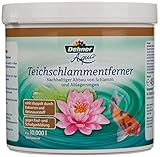 Dehner Aqua Teichschlammentferner, 500 g, für ca. 10.000 l