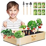 Mini Garten Kinder Komplettset - Gemüse Anzuchtset kinder - Indoor Kräutergarten...