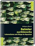 Salmler aus Südamerika: Lebensräume und Pflege im Aquarium