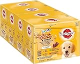 Pedigree Junior Hundenassfutter Vital Protection für Welpen, 48 Portionsbeutel, 12x100g...