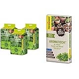 Floragard Aktiv-Grünpflanzen- und Palmenerde 3x20 L • 60 L & Bio-Erde Aromatisch 1x40...