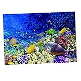 ＡＷＨＡＯ Aquarium Hintergrund Poster Aquarium Wallpaper Dekor Sea World, 61 x 41 cm