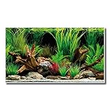 AMTRA Wonder, Aquarium-Poster-Hintergrund, Aquarium-Dekoration, dekoratives Poster mit...