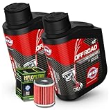 Nils Ölwechselset Motoröl 10W-40 Öl + HiFlo Ölfilter für Yamaha Raptor 250 / SE (YFM...