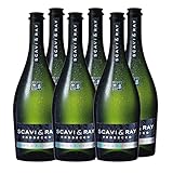 SCAVI & RAY Prosecco Frizzante DOC - fruchtig, frischer und trockener italienischer...