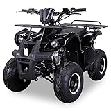 Original Actionbikes Motors Kinder Quad S-8 Farmer | 4-Takt 125 cc 7 kW Benzinmotor -...