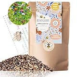 Blumensamen I 200g I 200m² Blumenwiese Samen mehrjährig und einjährig I Samen für...