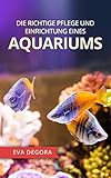 Die richtige Pflege und Einrichtung eines Aquariums