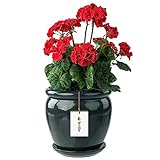 botle Blumentopf Blumenübertopf Dunkelgrau Blumenschale mit Untersetzer Rund DxH 280 mm x...