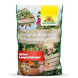 Neudorff Azet Zitrus- & MediterranpflanzenDünger – Bio Langzeitdünger mit Mykorrhiza...