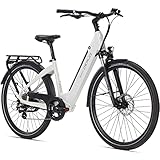 DERUIZ E-Bike 28 Zoll E Bike Damen Elektrofahrrad Herren Pedelec Citybike, 250W/48V/13,4AH...