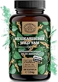 Yamswurzel - 1000mg je Tagesdosis - WICHTIG: 10:1 Extrakt (= 10.000mg mex. Wild Yams) je...