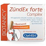 BOTANICY Zündex Forte Complex - OptiMSM Hochdosiert, Extrakt aus Boswellia Serrata...