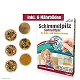 Schimmeltest für Baby- und Kinderzimmer – Schimmel Test zur Bestimmung der...