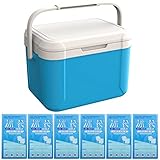 AMZLORD Kühlbox 5 Liter inkl. 6 Kühlakkus - Bis zu 8 Std. Kühlung - Thermobox aus...