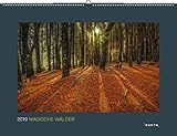 Magische Wälder 2021: Wandkalender (KUNTH Wandkalender Black Edition)