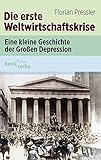 Die erste Weltwirtschaftskrise: Eine kleine Geschichte der Großen Depression